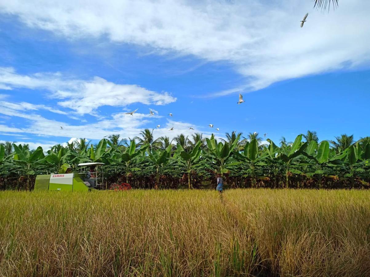 KovvurGangi Kota North Flat公寓 外观 照片